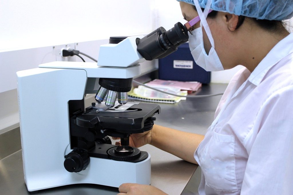 Laboratory Analysis