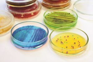 Legionella and Microbiological testing